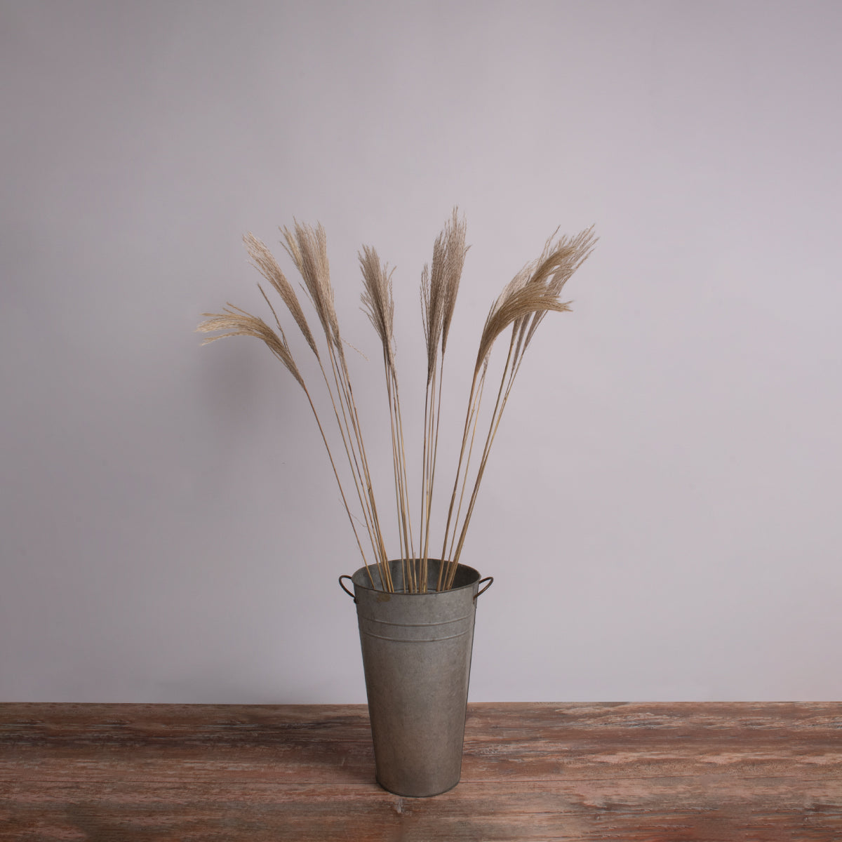 MISCANTHUS 36538 Αποξηραμένο Φυτό Μίσχανθος - Μπουκέτο Διακοσμητικών Κλαδιών Μπεζ Υ120cm