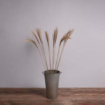 MISCANTHUS 36538 Αποξηραμένο Φυτό Μίσχανθος - Μπουκέτο Διακοσμητικών Κλαδιών Μπεζ Υ120cm