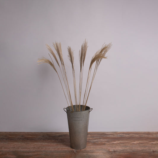 MISCANTHUS 36538 Αποξηραμένο Φυτό Μίσχανθος - Μπουκέτο Διακοσμητικών Κλαδιών Μπεζ Υ120cm