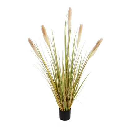 PAMPAS GRASS 21478 Τεχνητό Διακοσμητικό Φυτό Μπεζ & Πράσινο Πάμπας Μ90 x Π40 x Υ150