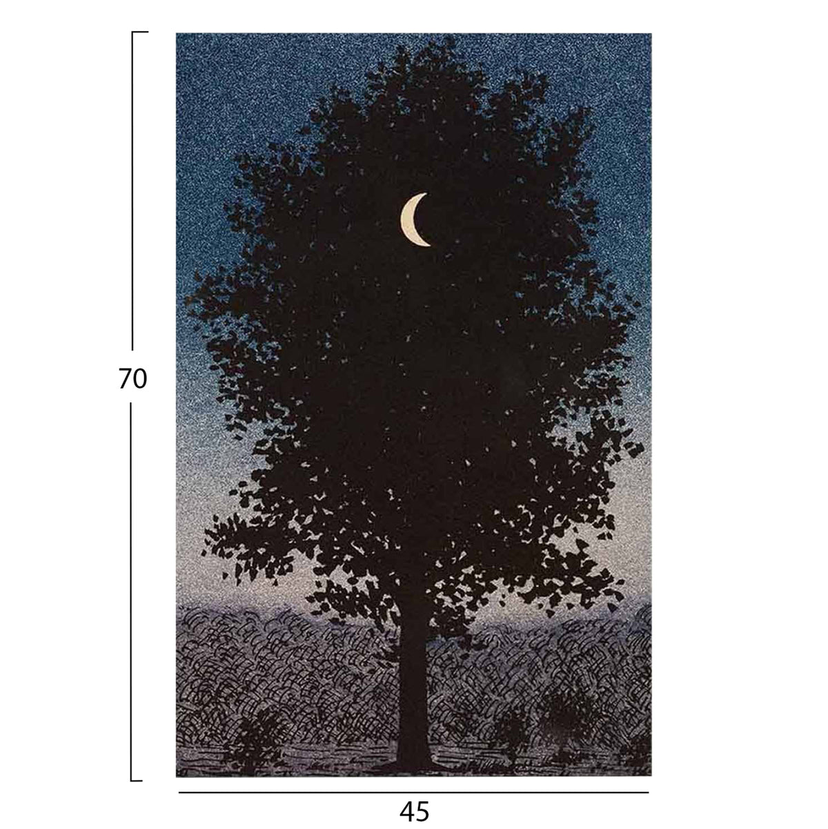 ΠΙΝΑΚΑΣ TOIXOY GOBI ΕΚΤΥΠΩΜΕΝΟΣ ΚΑΜΒΑΣ 45x3x70