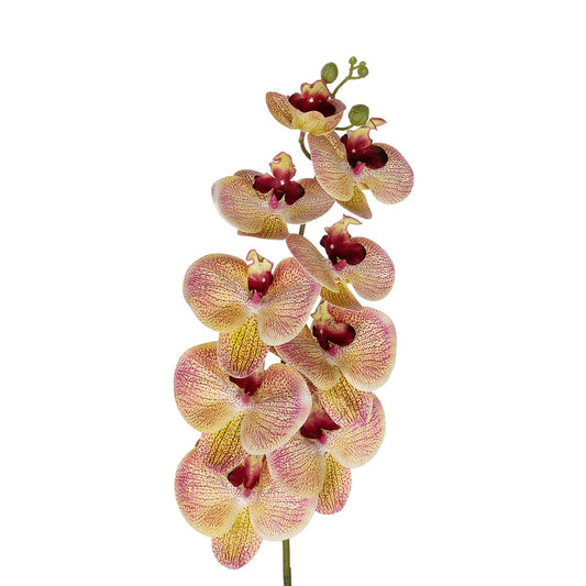 PING SALMON ORCHID BRANCH 21405 Τεχνητό Διακοσμητικό Κλαδί Ροζ Ορχιδέα Y95εκ