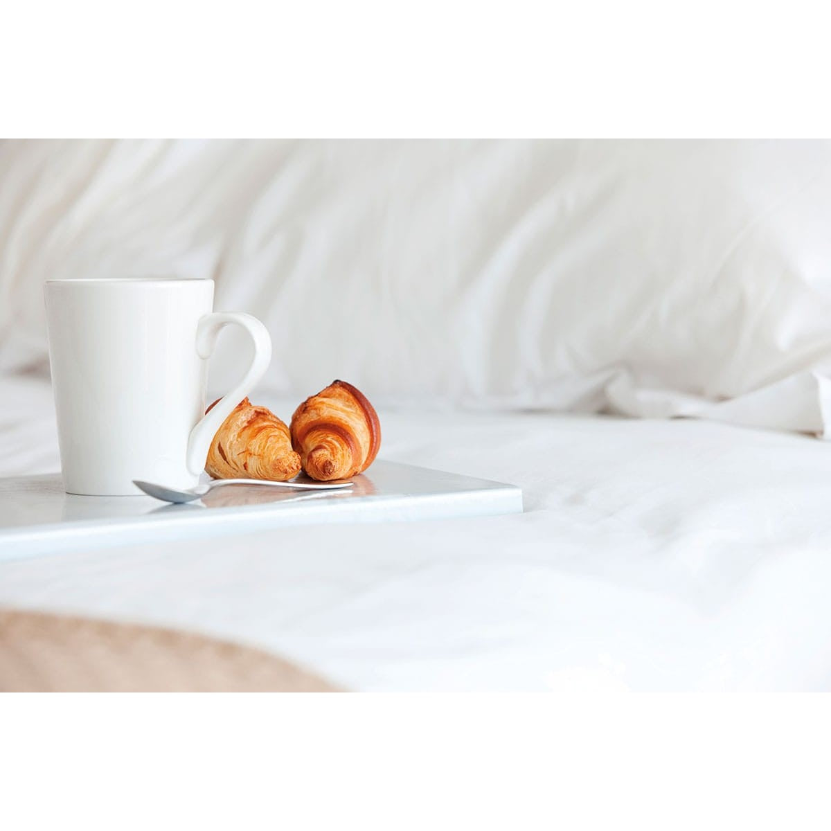 Σεντόνι Ξενοδοχείου Μονό Aspect Art Ε1072 CVC 200tc 80% Cot - 20% Pol 170x275εκ Λευκό