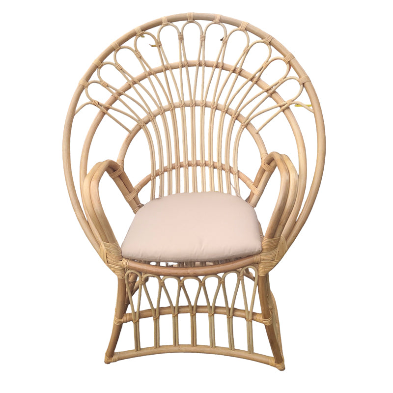 Πολυθρόνα Boloni με Μπεζ Μαξιλάρι-Φυσικό Rattan 100x67x120