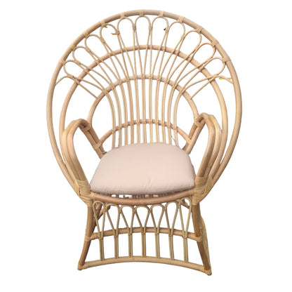Πολυθρόνα Boloni με Μπεζ Μαξιλάρι-Φυσικό Rattan 100x67x120