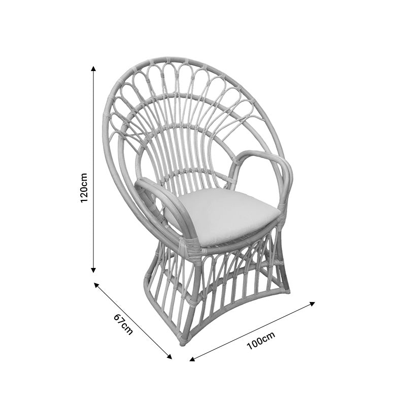 Πολυθρόνα Boloni με Μπεζ Μαξιλάρι-Φυσικό Rattan 100x67x120