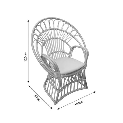 Πολυθρόνα Boloni με Μπεζ Μαξιλάρι-Φυσικό Rattan 100x67x120