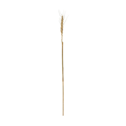 REAL DRIED WHEAT GRASS 21488 Τεχνητό Διακοσμητικό Κλαδί Σιταριού Y30cm