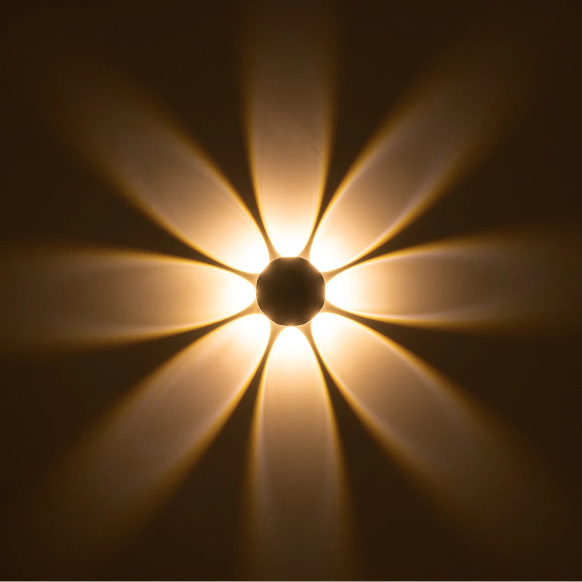 SOL 60796 Μοντέρνο Φωτιστικό Τοίχου - Απλίκα LED 16W 2000lm 30° AC 220-240V Αδιάβροχο IP65 Θερμό Λευκό 2700K - CREE XPE Chip & TÜV SÜD Driver - Μαύρο Ματ - Μ16 x Π5.5 x Υ16