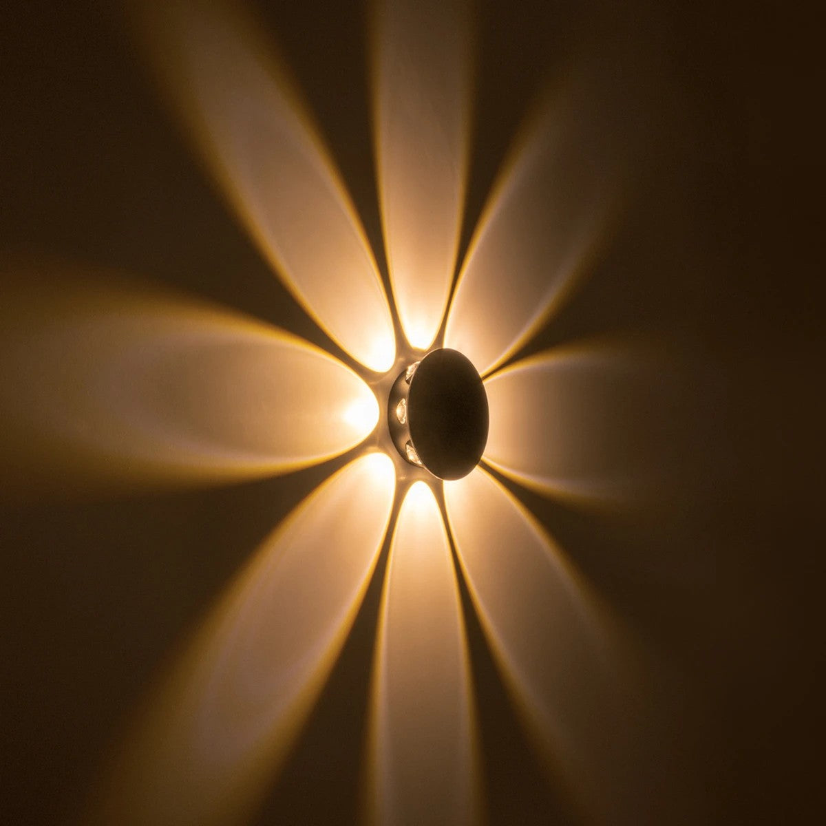 SOL 60796 Μοντέρνο Φωτιστικό Τοίχου - Απλίκα LED 16W 2000lm 30° AC 220-240V Αδιάβροχο IP65 Θερμό Λευκό 2700K - CREE XPE Chip & TÜV SÜD Driver - Μαύρο Ματ - Μ16 x Π5.5 x Υ16