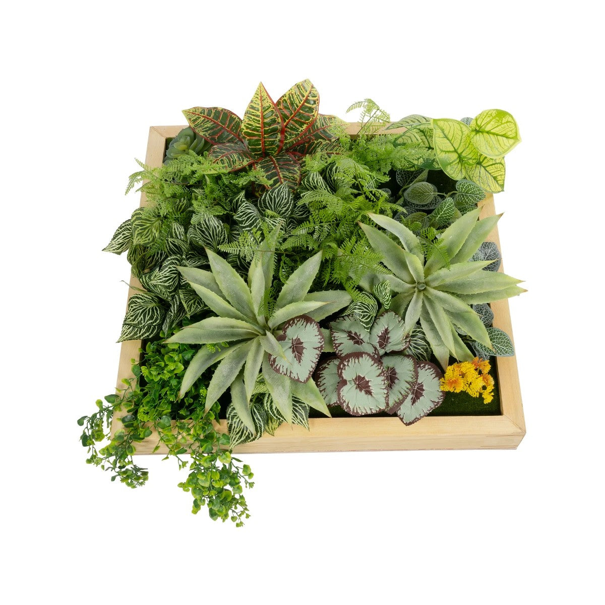 VARIOUS PLANT 20641 Τεχνητό Διακοσμητικό Φυλλωσιάς σε Ξύλινο Πάνελ - Κάθετος Κήπος Μιξ Μ60 x Π60 x Υ32