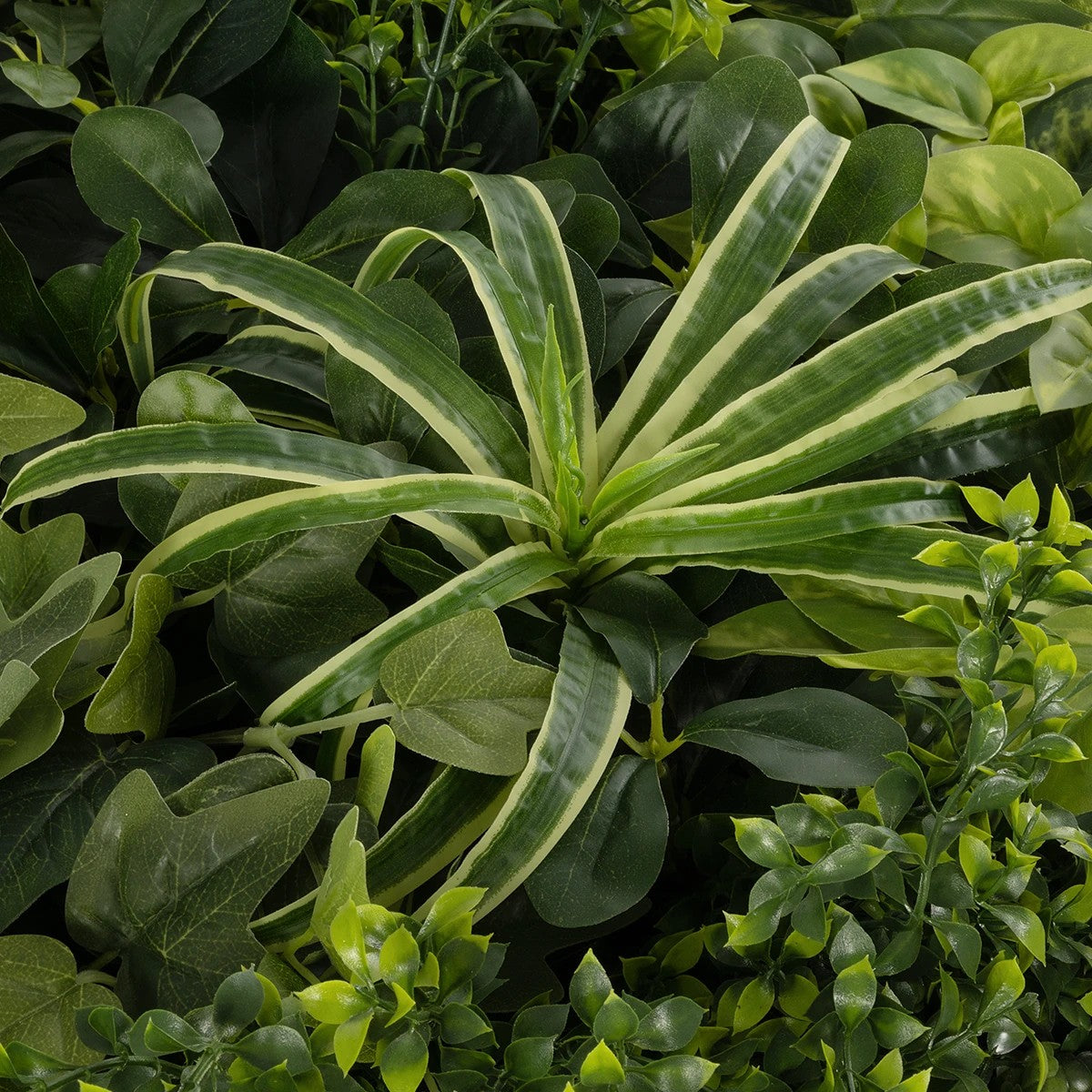 VARIOUS PLANTS ROUND WALL DISC 20689 Τεχνητό Διακοσμητικό Στρογγυλό Πάνελ Φυλλωσιάς - Κάθετος Κήπος Μιξ Μ70 x Π70 x Υ15