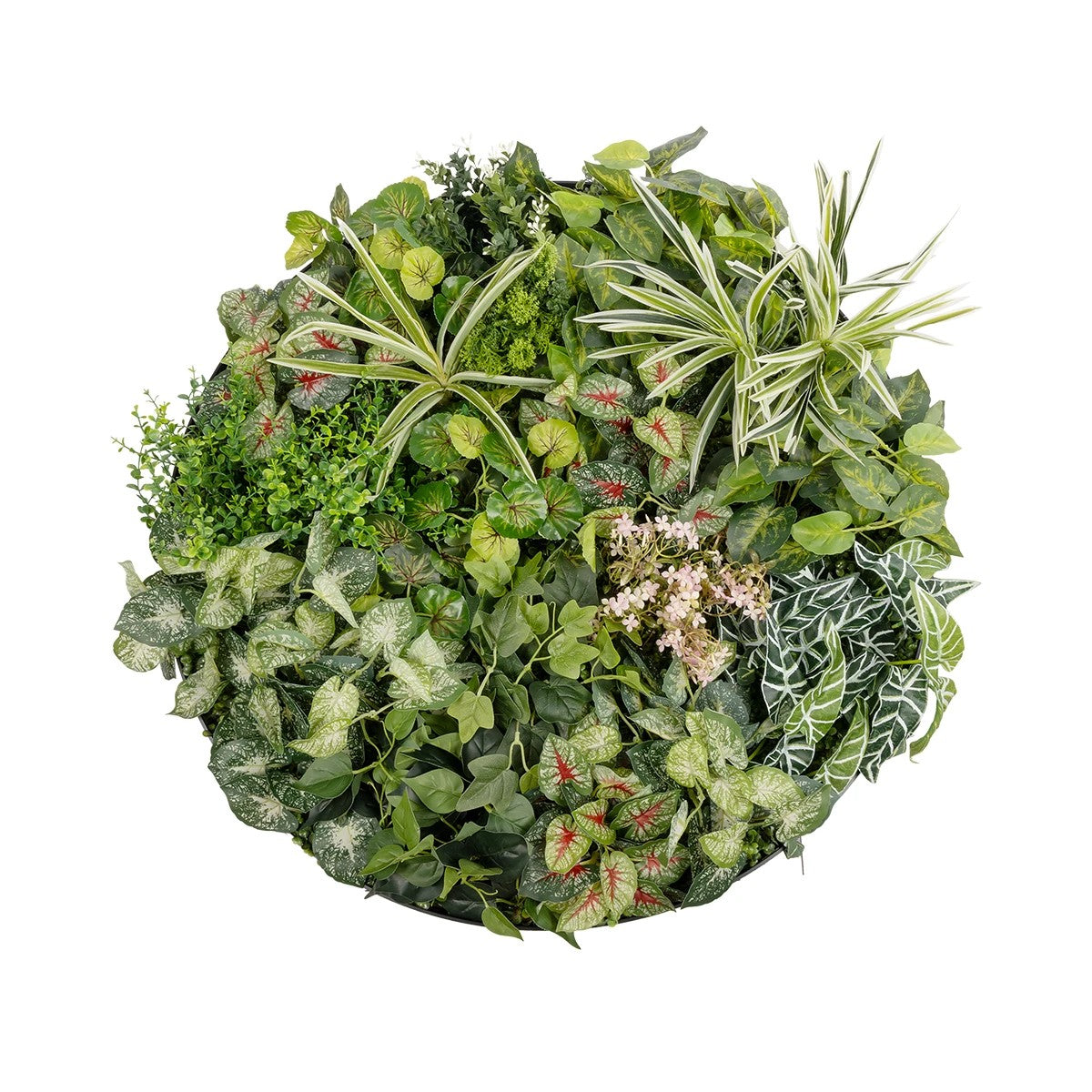 VARIOUS PLANTS ROUND WALL DISC 20690 Τεχνητό Διακοσμητικό Στρογγυλό Πάνελ Φυλλωσιάς - Κάθετος Κήπος Μιξ Μ80 x Π80 x Υ20