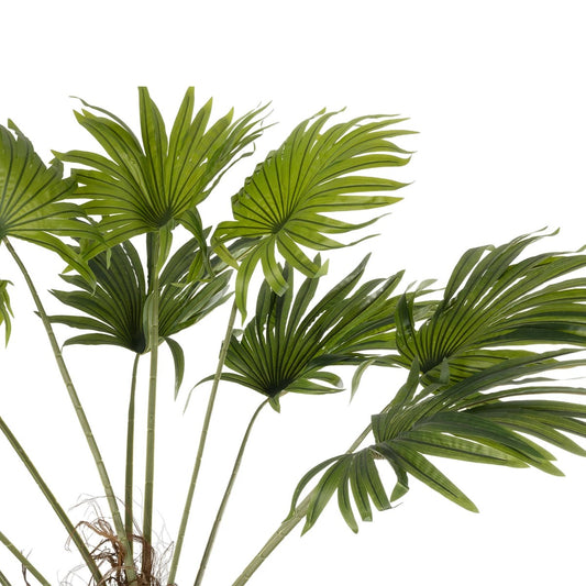 WASHINGTONIA FILIFERA TREE 21107 Τεχνητό Διακοσμητικό Φοινικόδεντρου Υ200cm