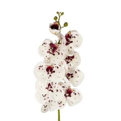WHITE ORCHID BRANCH 21406 Τεχνητό Διακοσμητικό Κλαδί Λευκή Ορχιδέα Y95cm