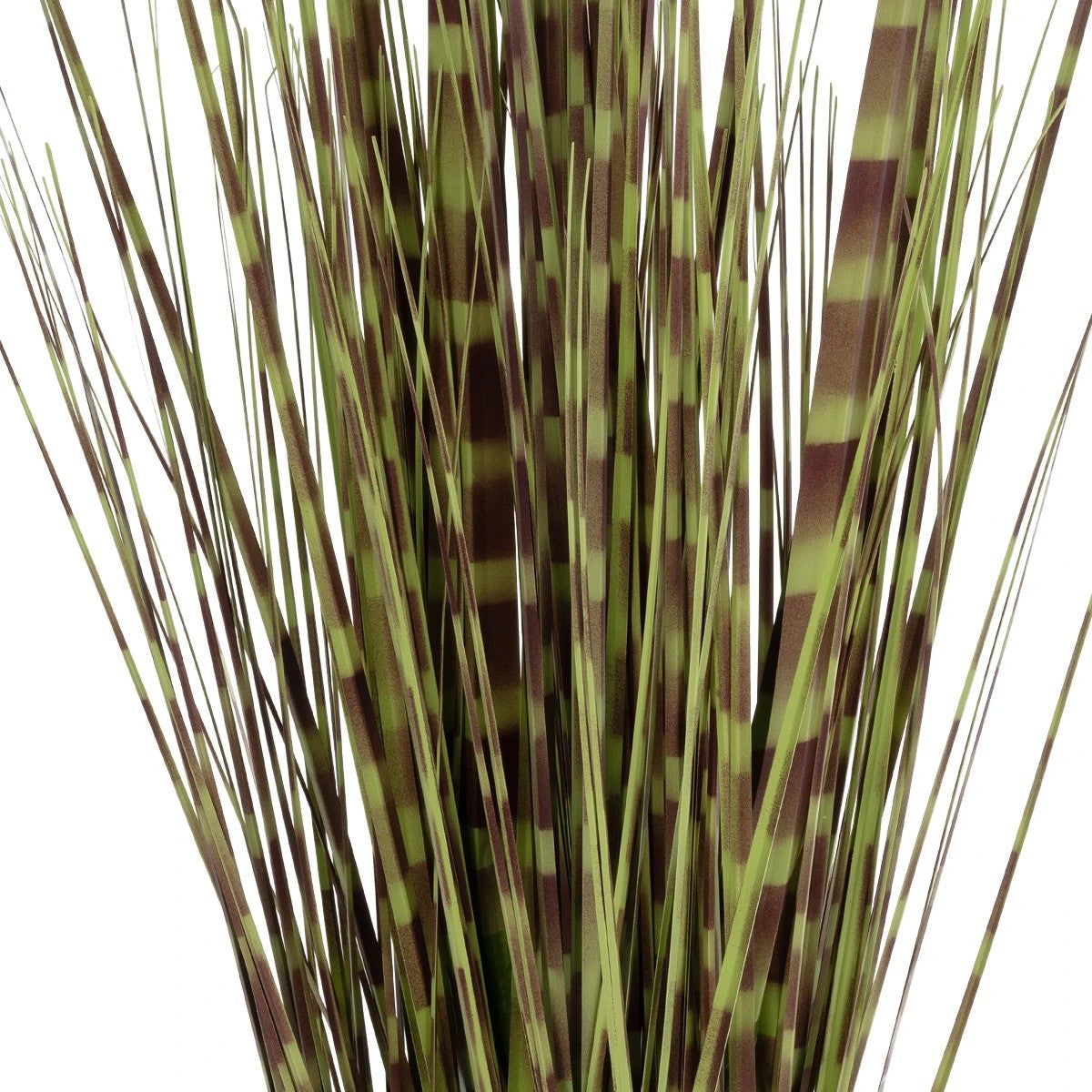 ZEBRA GRASS 21482 Τεχνητό Διακοσμητικό Φυτό Ζέμπρα Υ85cm