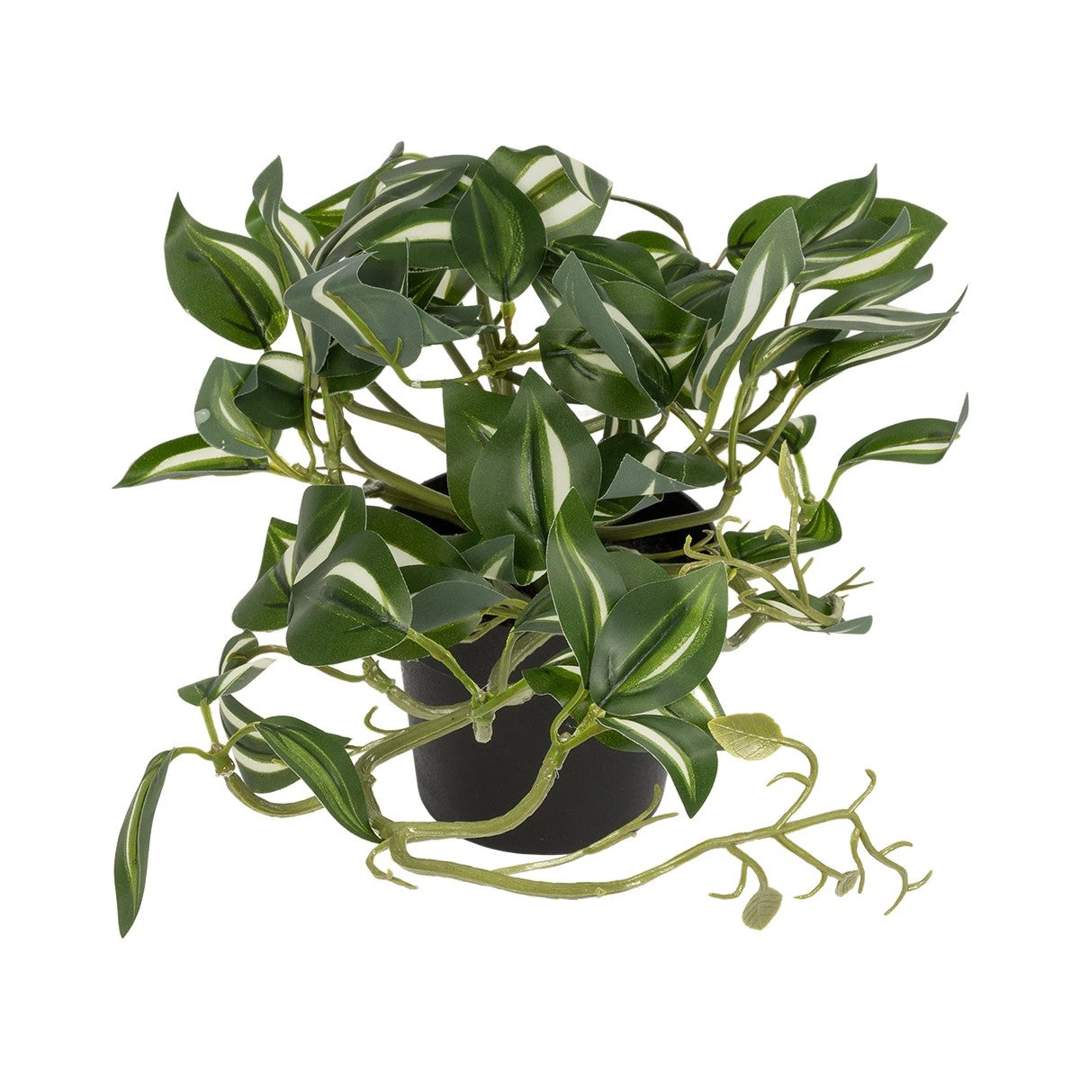 ZEBRINA PLANT 20960 Διακοσμητικό Φυτό Ζεμπρίνα Φ45 x Υ22cm