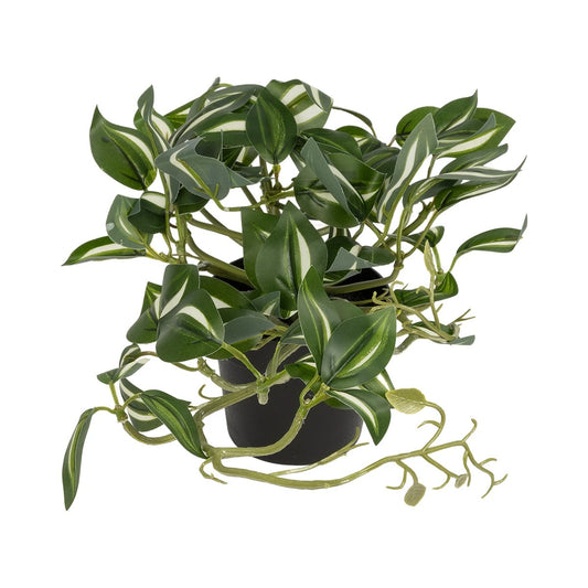 ZEBRINA PLANT 20960 Διακοσμητικό Φυτό Ζεμπρίνα Φ45 x Υ22cm