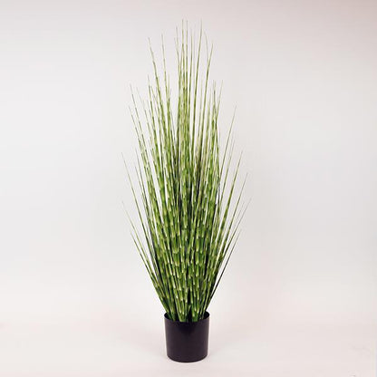 ΦΥΤΟ ΓΡΑΣΙΔΙ ΣΕ ΓΛΑΣΤΡΑ ΠΛΑΣΤΙΚΟ ΠΡΑΣΙΝΟ 92εκ