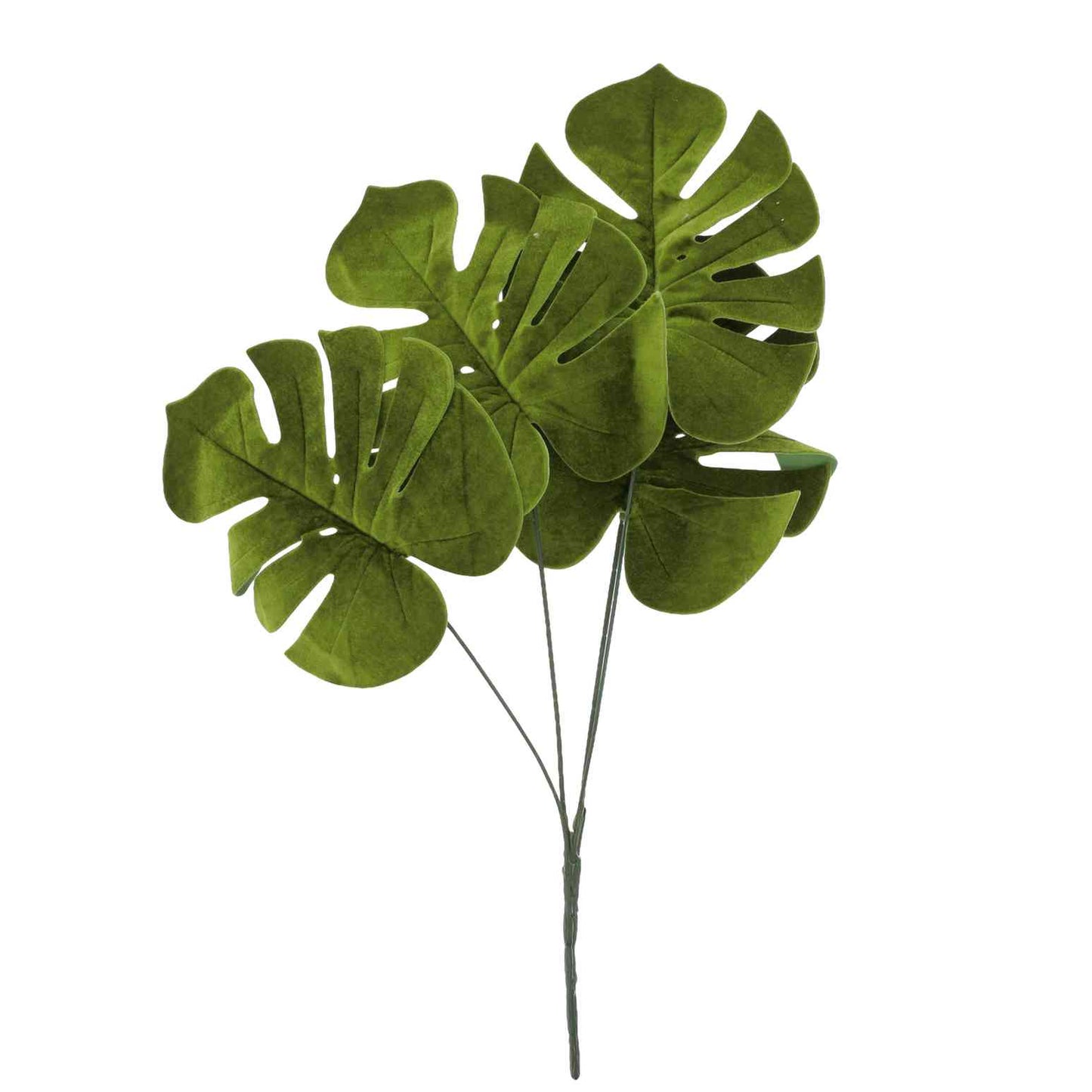 Κλαδί Βελούδο με 4 Φύλλα Monstera 60εκ