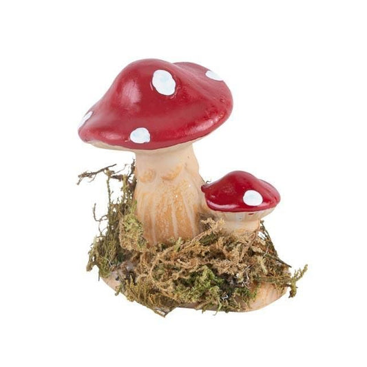 Μανιτάρια Ρητίνης με Βρύα 5x5x6