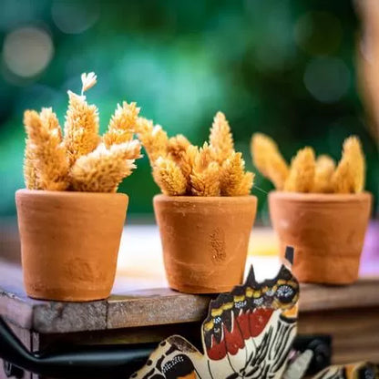 Πύλινο Κασπώ 5x5x6