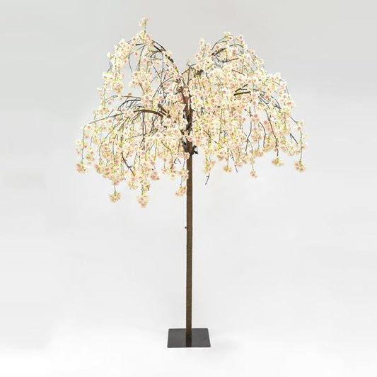 ΔΕΝΤΡΟ ΚΕΡΑΣΙΑ ΜΕ 288 ΘΕΡΜΑ ΛΕΥΚΑ LED 180x180x250