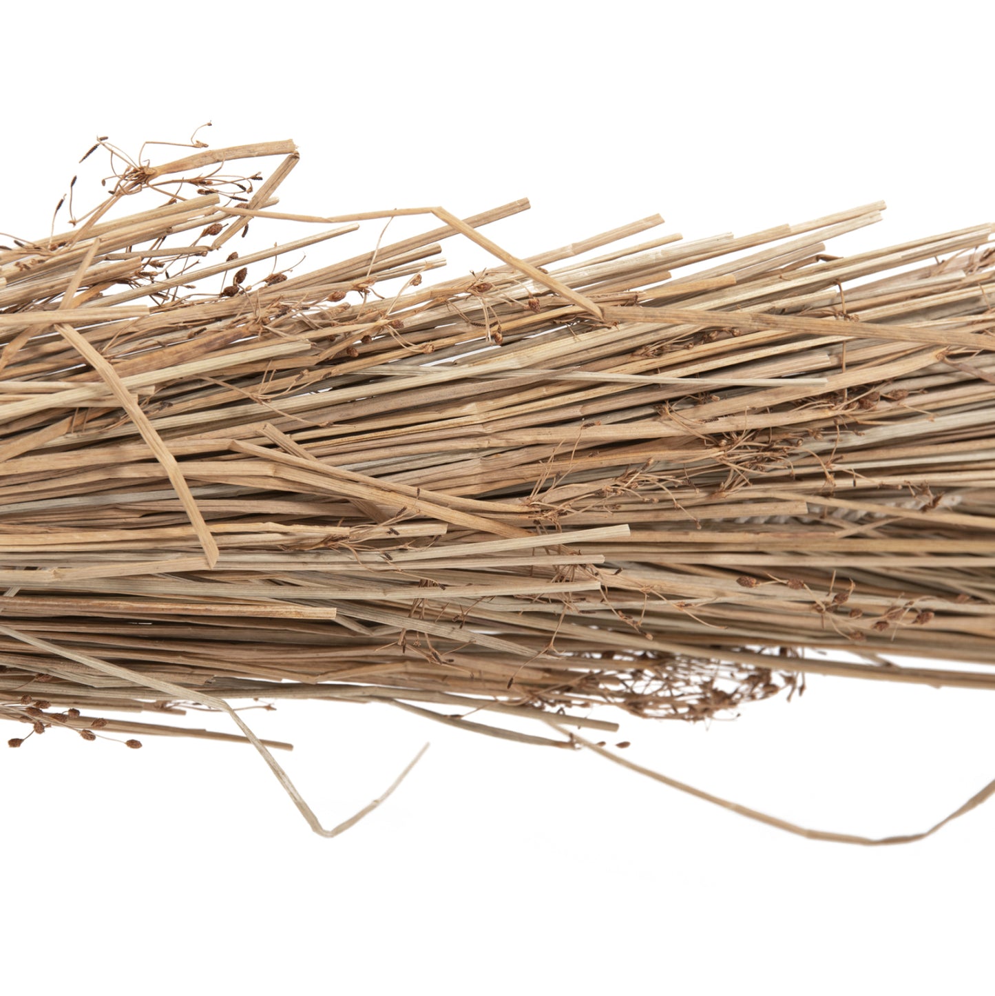 ΔΙΑΚΟΣΜΗΤΙΚΟ ΔΕΝΤΡΟ TROPIC τ.ΦΟΙΝΙΚΑ ΑΠΟ MENDONG GRASS 360εκ