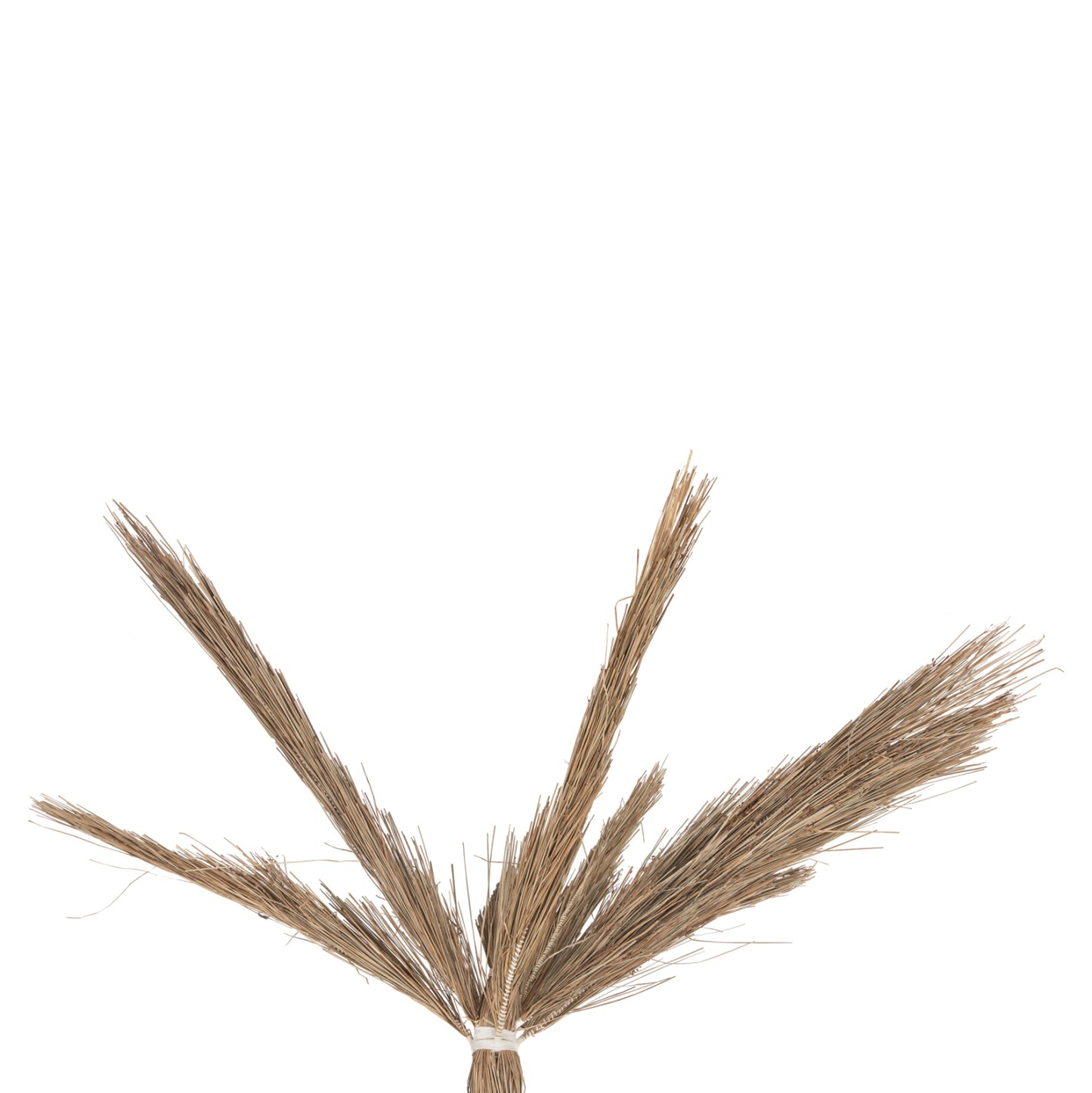 ΔΙΑΚΟΣΜΗΤΙΚΟ ΔΕΝΤΡΟ TROPIC τ.ΦΟΙΝΙΚΑ ΑΠΟ MENDONG GRASS 310εκ