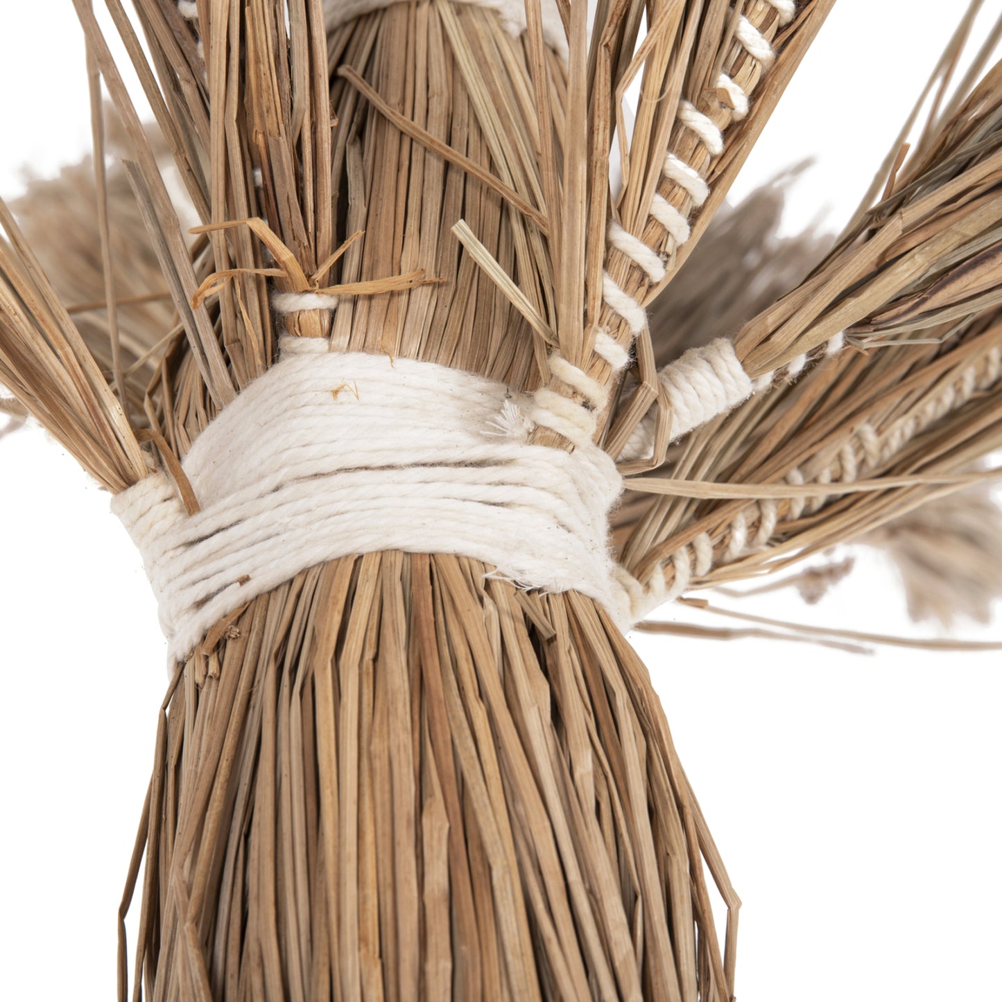 ΔΙΑΚΟΣΜΗΤΙΚΟ ΔΕΝΤΡΟ TROPIC τ.ΦΟΙΝΙΚΑ ΑΠΟ MENDONG GRASS 310εκ