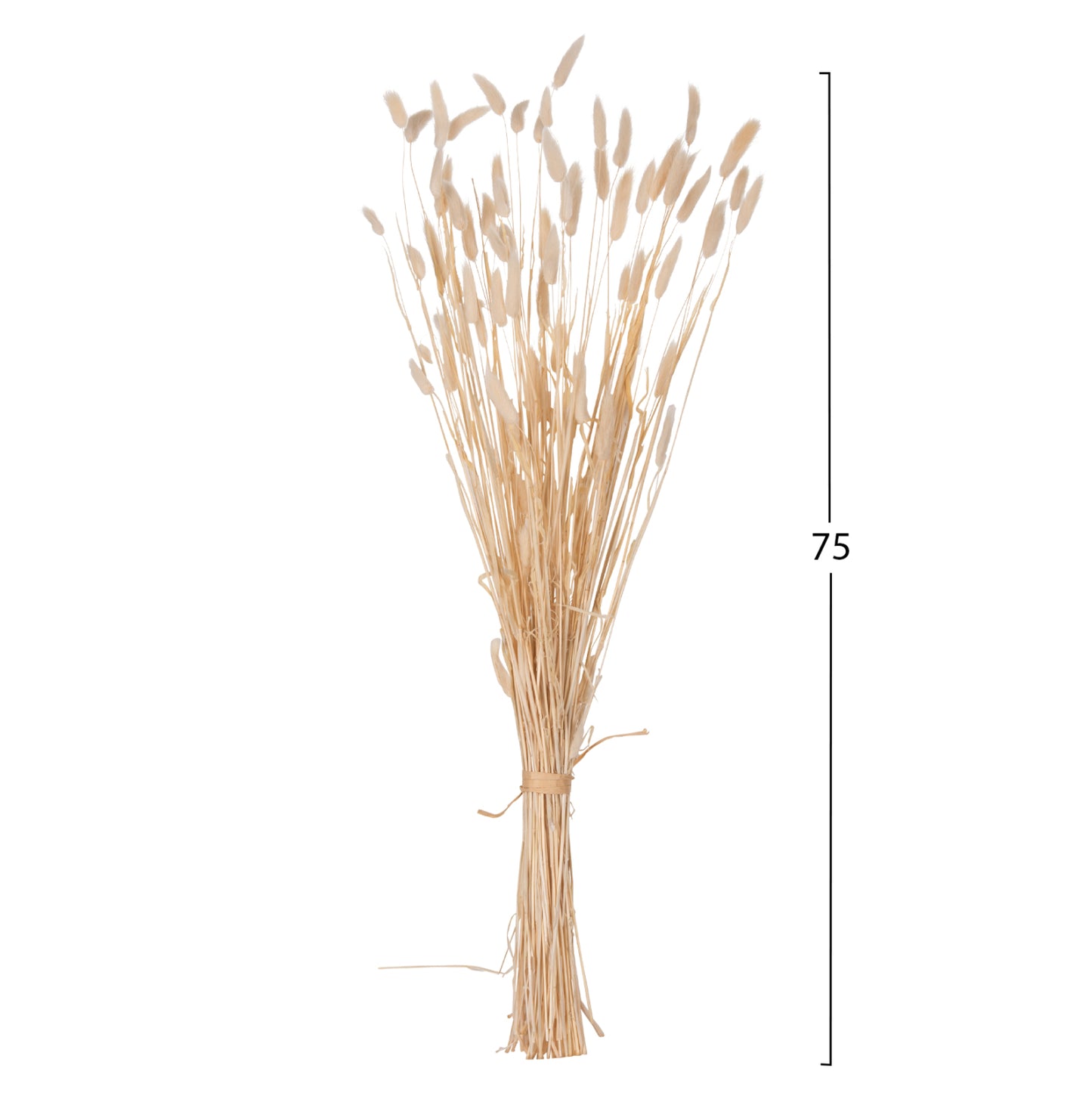 ΔΙΑΚΟΣΜΗΤΙΚΟ ΜΠΟΥΚΕΤΟ ΑΠΟΞΗΡΑΜΕΝΟ RABBIT TAIL CREAM 50gr 76εκ