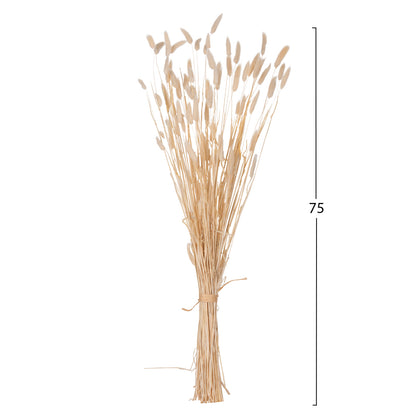 ΔΙΑΚΟΣΜΗΤΙΚΟ ΜΠΟΥΚΕΤΟ ΑΠΟΞΗΡΑΜΕΝΟ RABBIT TAIL CREAM 50gr 76εκ