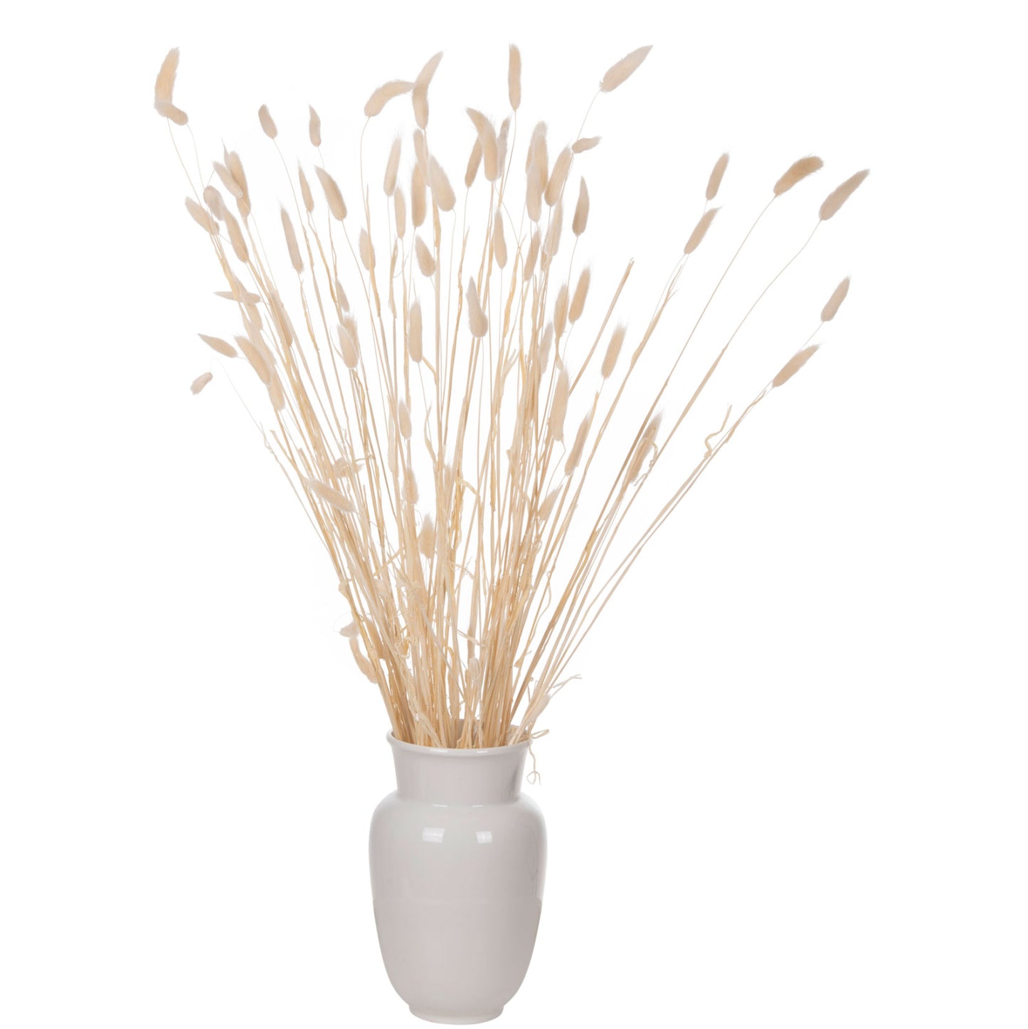 ΔΙΑΚΟΣΜΗΤΙΚΟ ΜΠΟΥΚΕΤΟ ΑΠΟΞΗΡΑΜΕΝΟ RABBIT TAIL CREAM 50gr 76εκ