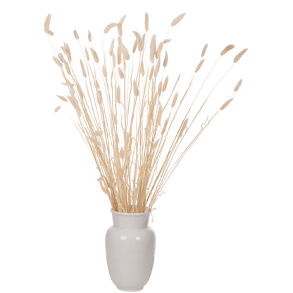 ΔΙΑΚΟΣΜΗΤΙΚΟ ΜΠΟΥΚΕΤΟ ΑΠΟΞΗΡΑΜΕΝΟ RABBIT TAIL CREAM 50gr 76εκ