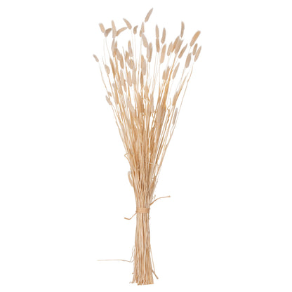ΔΙΑΚΟΣΜΗΤΙΚΟ ΜΠΟΥΚΕΤΟ ΑΠΟΞΗΡΑΜΕΝΟ RABBIT TAIL CREAM 50gr 76εκ
