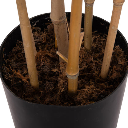 ΔΙΑΚΟΣΜΗΤΙΚΟ ΣΥΝΘΕΤΙΚΟ ΦΥΤΟ BAMBOO ΣΕ ΓΛΑΣΤΡΑ 20x95x200