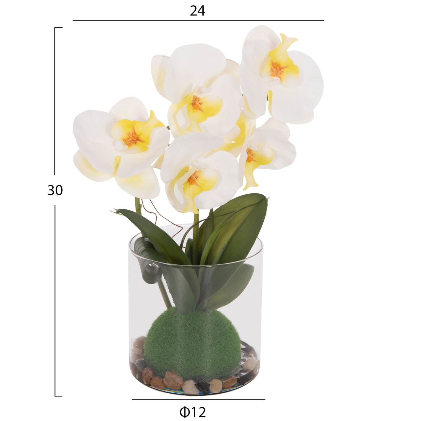 DECORATIVE ARTIFICIAL PHALAENOPSIS FLOWER PLANT IN GLASS VASE 12x24x30