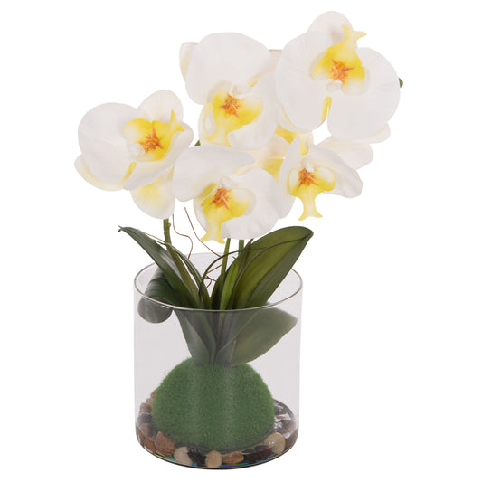 ΔΙΑΚΟΣΜΗΤΙΚΟ ΣΥΝΘΕΤΙΚΟ ΦΥΤΟ ΛΟΥΛΟΥΔΙ PHALAENOPSIS ΣΕ ΓΥΑΛΙΝΟ ΒΑΖΟ 12x24x30
