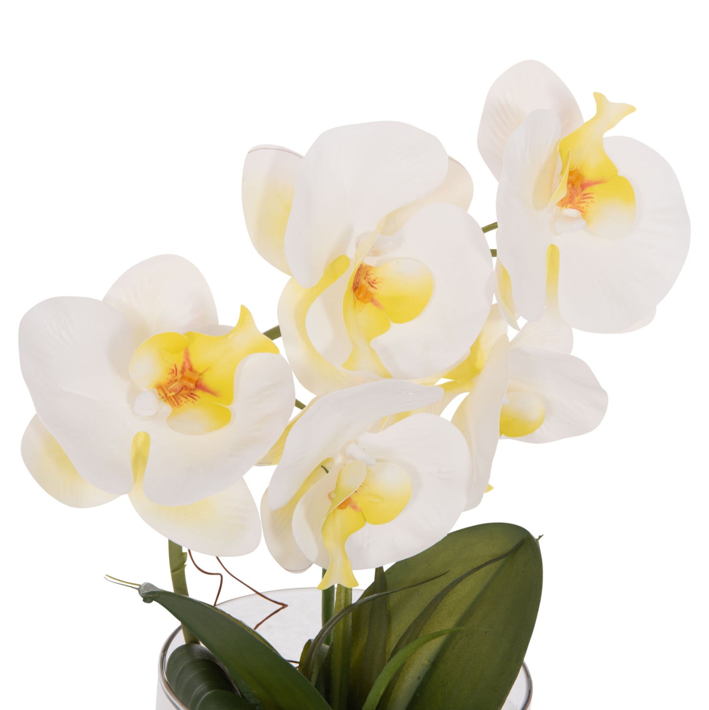 DECORATIVE ARTIFICIAL PHALAENOPSIS FLOWER PLANT IN GLASS VASE 12x24x30