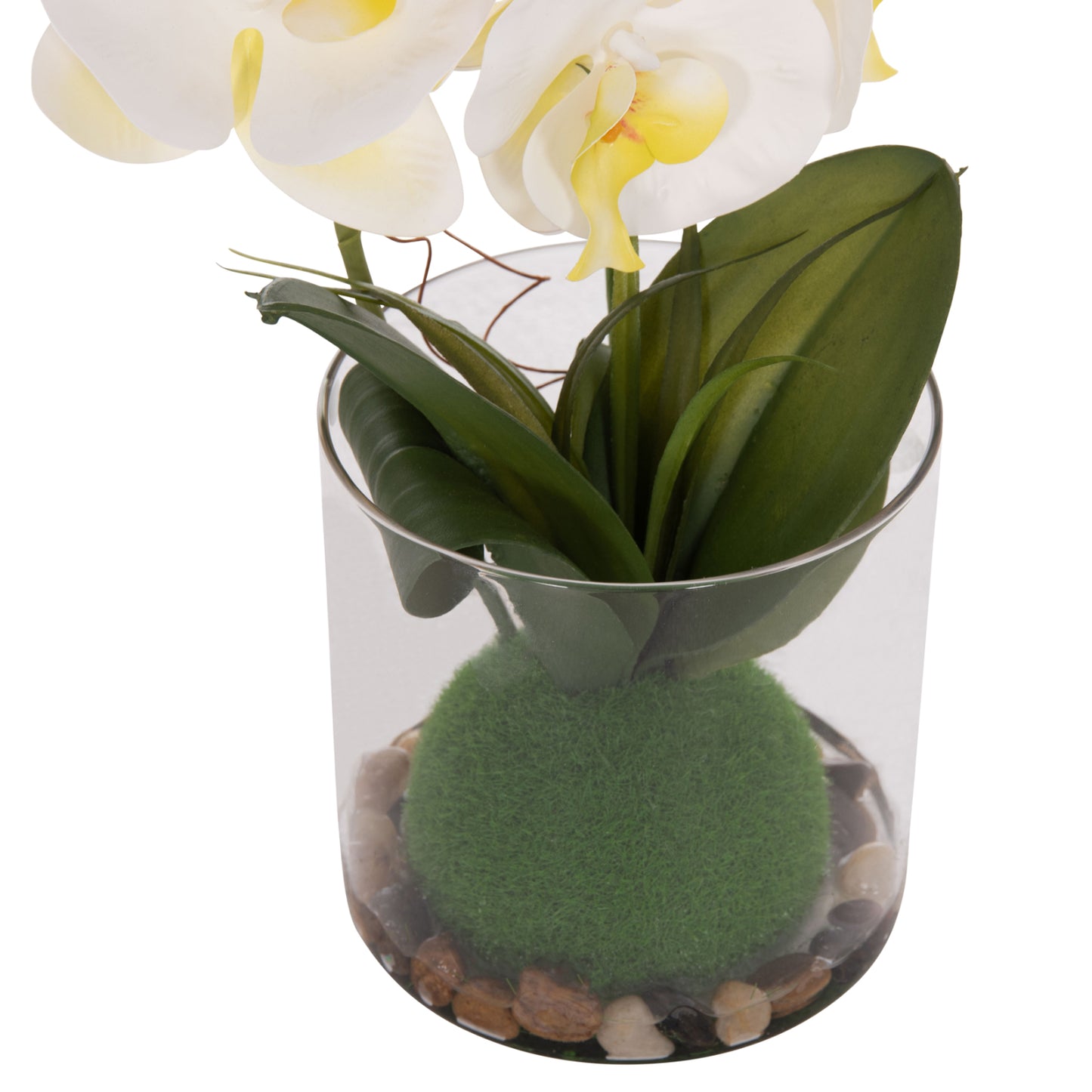 DECORATIVE ARTIFICIAL PHALAENOPSIS FLOWER PLANT IN GLASS VASE 12x24x30