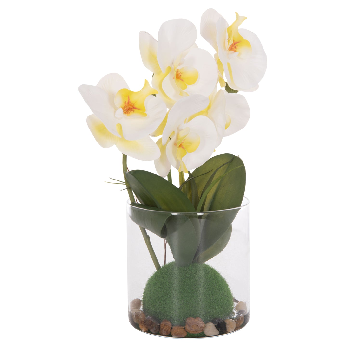 DECORATIVE ARTIFICIAL PHALAENOPSIS FLOWER PLANT IN GLASS VASE 12x24x30