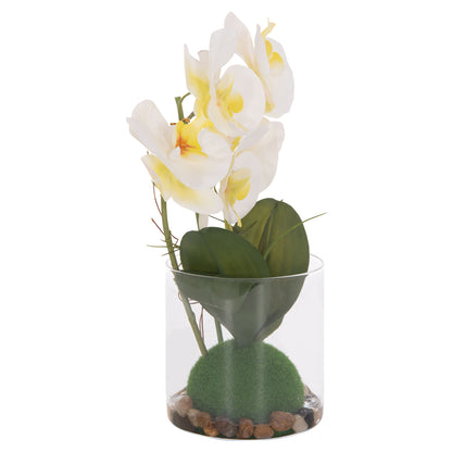 DECORATIVE ARTIFICIAL PHALAENOPSIS FLOWER PLANT IN GLASS VASE 12x24x30