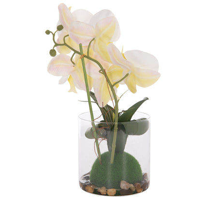 DECORATIVE ARTIFICIAL PHALAENOPSIS FLOWER PLANT IN GLASS VASE 12x24x30