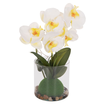 DECORATIVE ARTIFICIAL PHALAENOPSIS FLOWER PLANT IN GLASS VASE 12x24x30