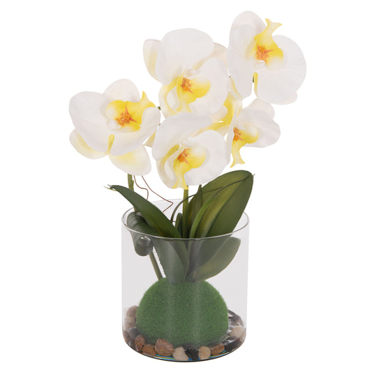 ΔΙΑΚΟΣΜΗΤΙΚΟ ΣΥΝΘΕΤΙΚΟ ΦΥΤΟ ΛΟΥΛΟΥΔΙ PHALAENOPSIS ΣΕ ΓΥΑΛΙΝΟ ΒΑΖΟ 12x24x30