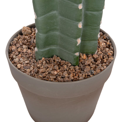 DECORATIVE ARTIFICIAL CACTUS PLANT WITH POT 17.5x26x103