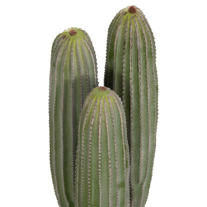 DECORATIVE ARTIFICIAL CACTUS PLANT WITH POT F16x62