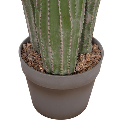 DECORATIVE ARTIFICIAL CACTUS PLANT WITH POT F16x62