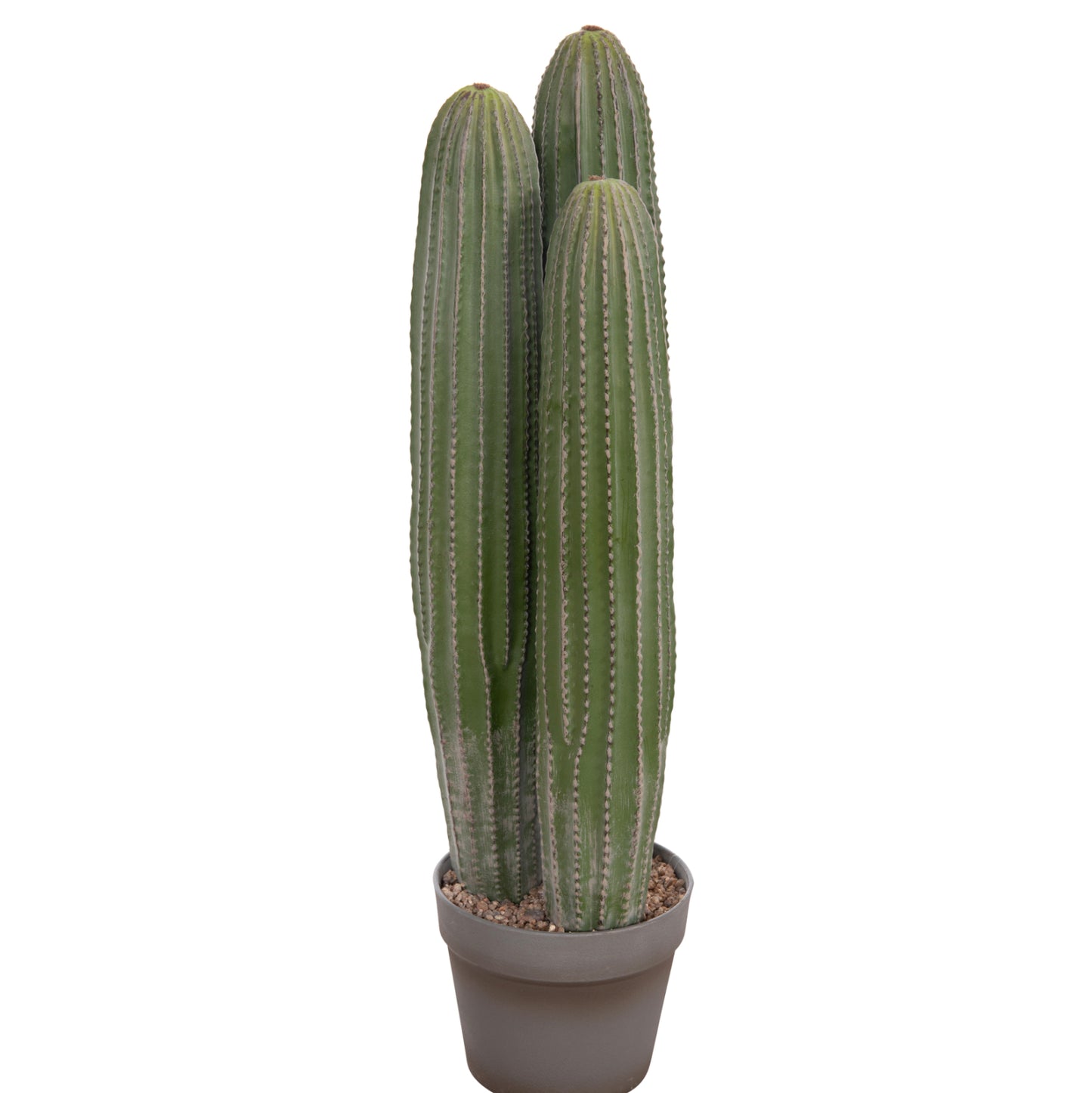 DECORATIVE ARTIFICIAL CACTUS PLANT WITH POT F16x62