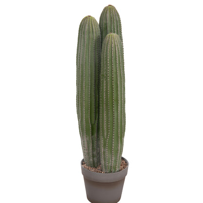 DECORATIVE ARTIFICIAL CACTUS PLANT WITH POT F16x62